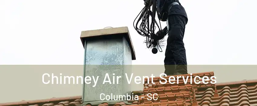  Chimney Air Vent Services Columbia - SC