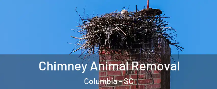  Chimney Animal Removal Columbia - SC