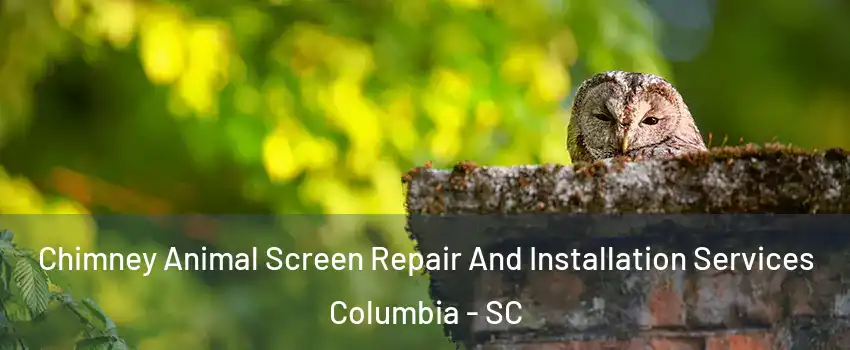  Chimney Animal Screen Repair And Installation Services Columbia - SC
