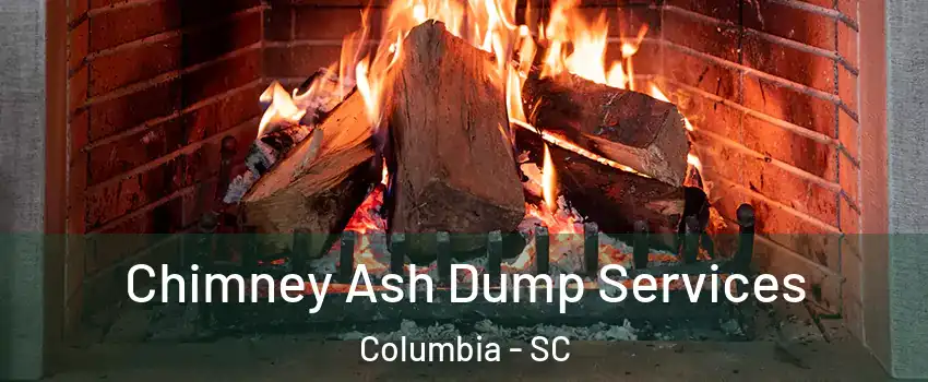  Chimney Ash Dump Services Columbia - SC