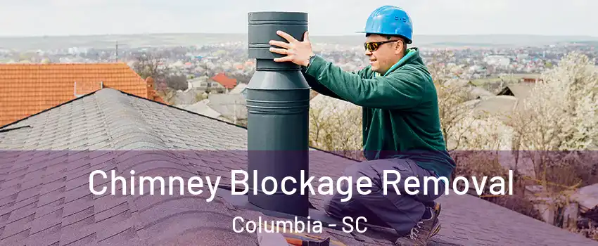  Chimney Blockage Removal Columbia - SC
