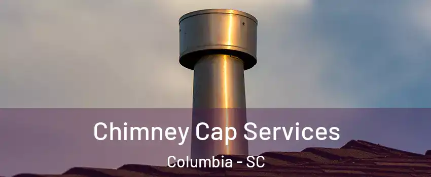  Chimney Cap Services Columbia - SC