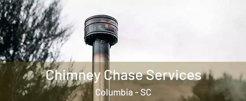  Chimney Chase Services Columbia - SC