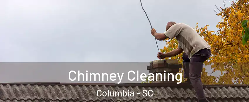  Chimney Cleaning Columbia - SC