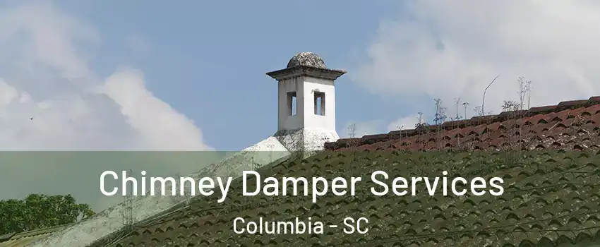  Chimney Damper Services Columbia - SC