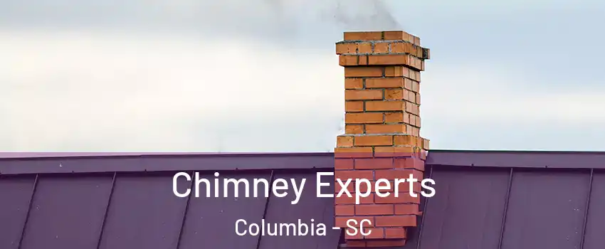  Chimney Experts Columbia - SC