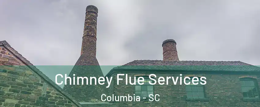  Chimney Flue Services Columbia - SC