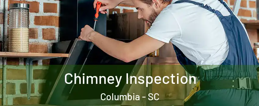  Chimney Inspection Columbia - SC