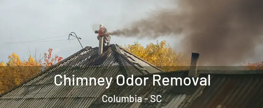  Chimney Odor Removal Columbia - SC