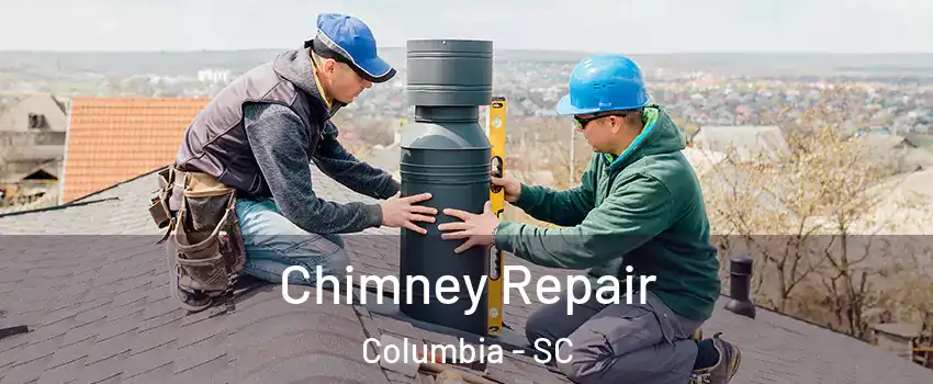  Chimney Repair Columbia - SC