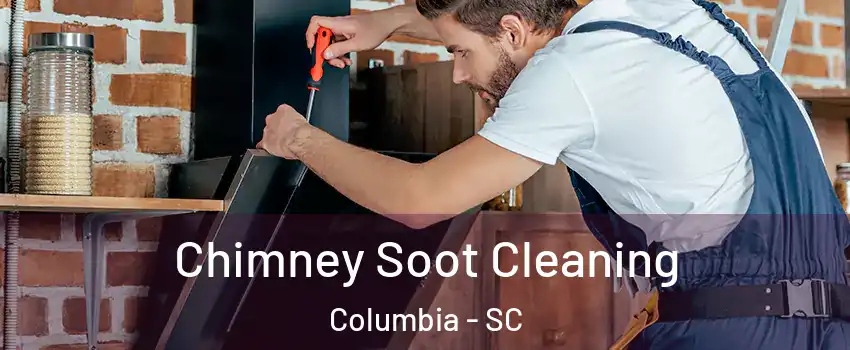  Chimney Soot Cleaning Columbia - SC