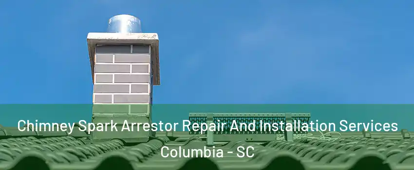 Chimney Spark Arrestor Repair And Installation Services Columbia - SC