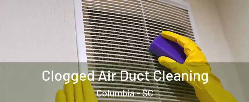  Clogged Air Duct Cleaning Columbia - SC