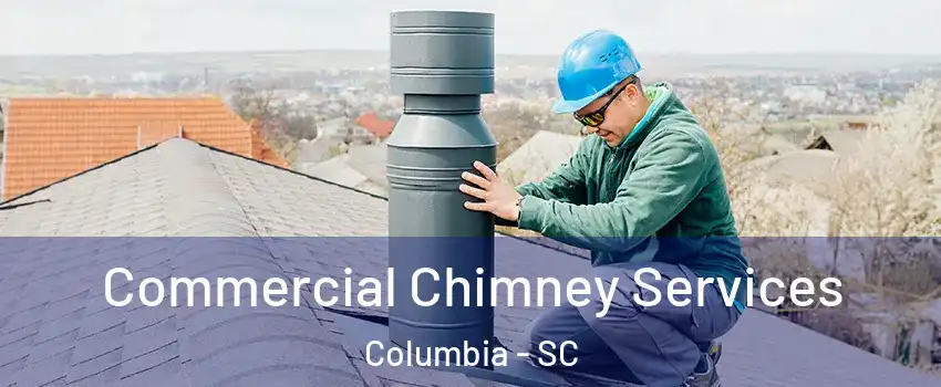  Commercial Chimney Services Columbia - SC