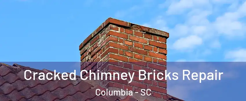  Cracked Chimney Bricks Repair Columbia - SC