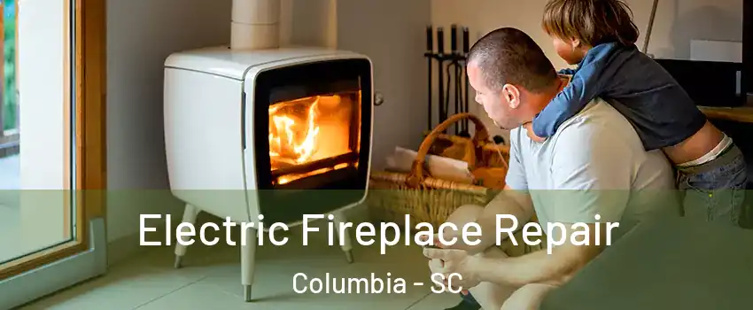  Electric Fireplace Repair Columbia - SC