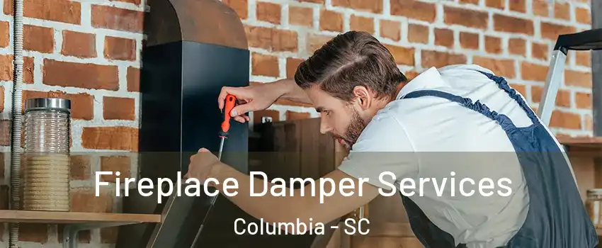  Fireplace Damper Services Columbia - SC