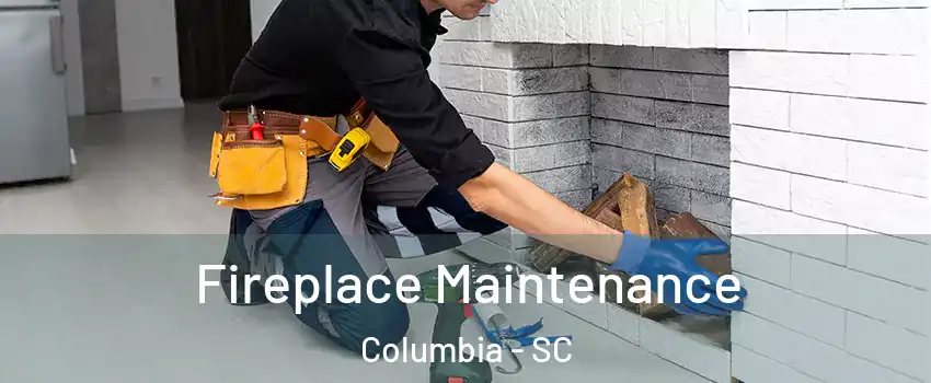  Fireplace Maintenance Columbia - SC