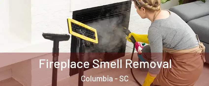  Fireplace Smell Removal Columbia - SC