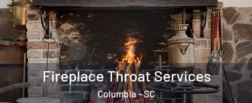  Fireplace Throat Services Columbia - SC
