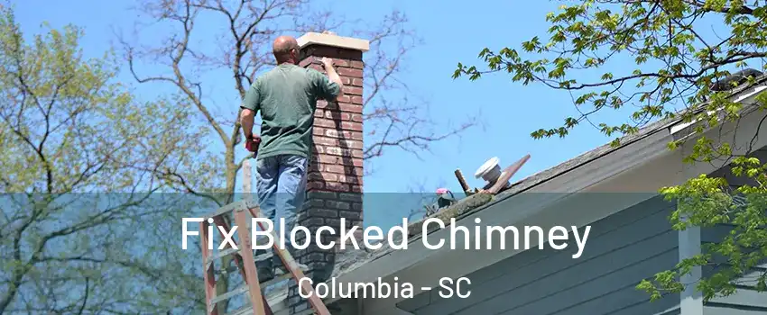  Fix Blocked Chimney Columbia - SC