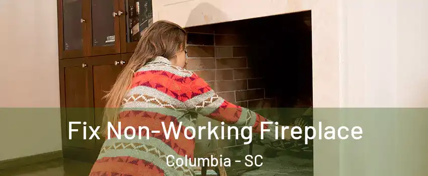  Fix Non-Working Fireplace Columbia - SC