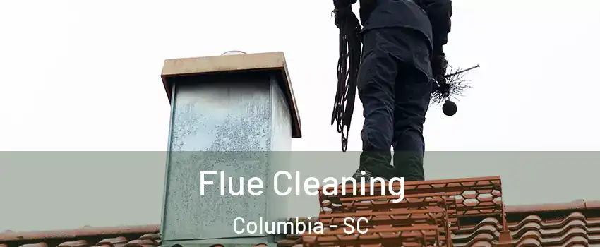  Flue Cleaning Columbia - SC