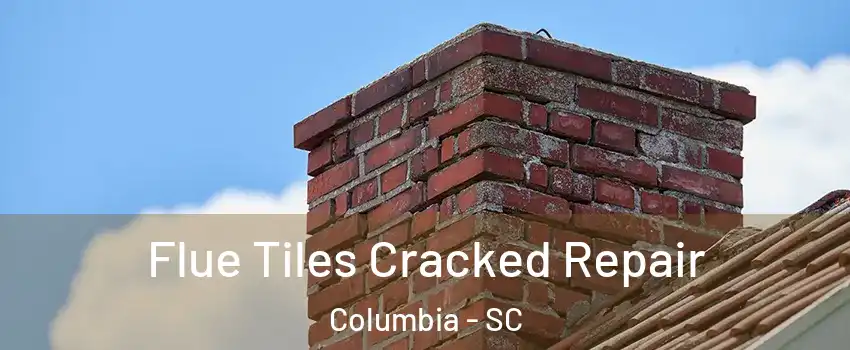  Flue Tiles Cracked Repair Columbia - SC