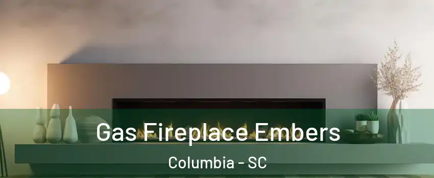  Gas Fireplace Embers Columbia - SC