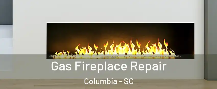  Gas Fireplace Repair Columbia - SC