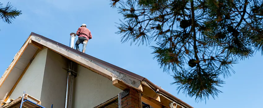 Birds Removal Contractors from Chimney in Columbia, SC