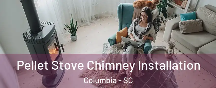  Pellet Stove Chimney Installation Columbia - SC